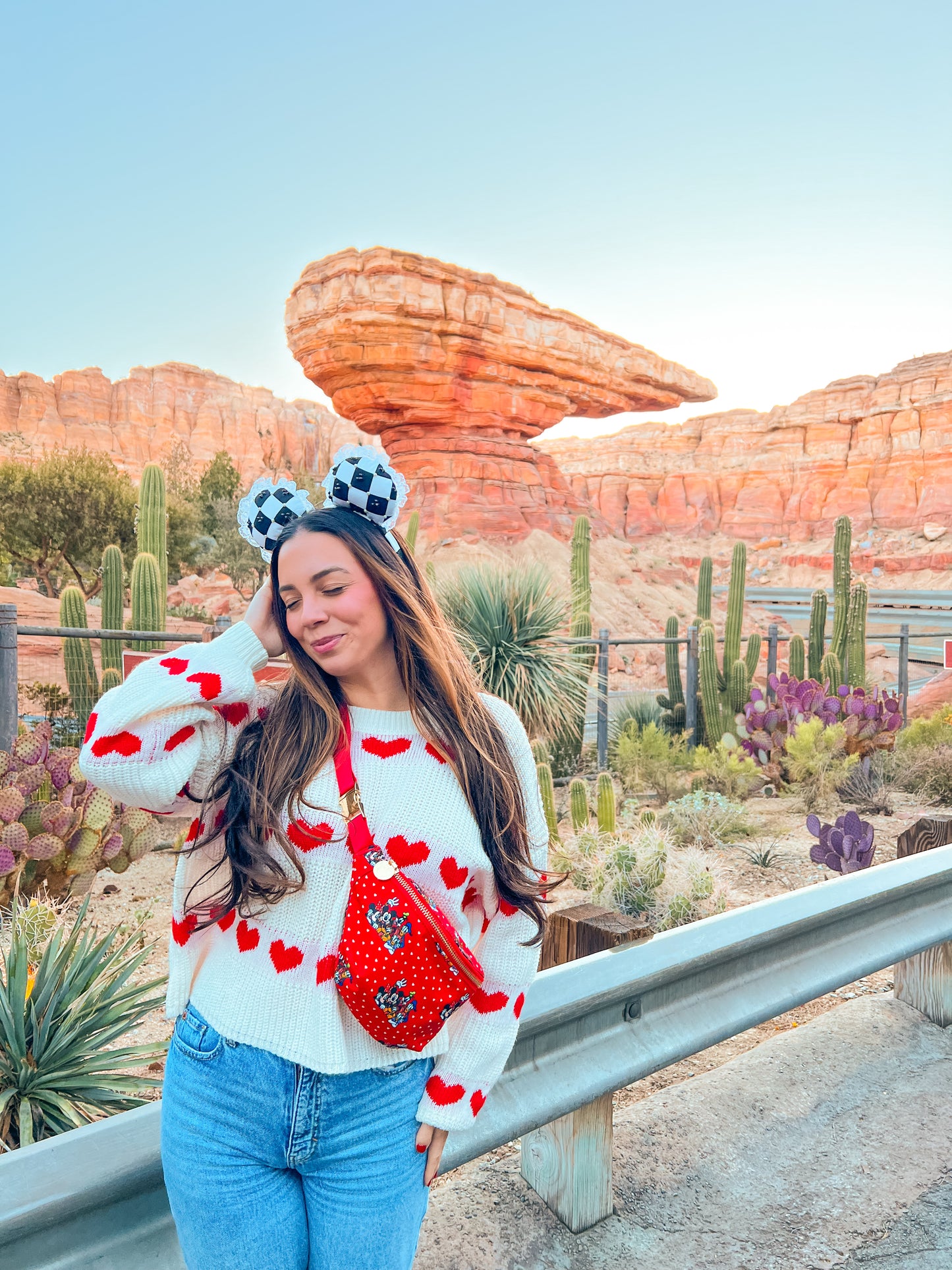 Lace and Checkered Mouse Ears