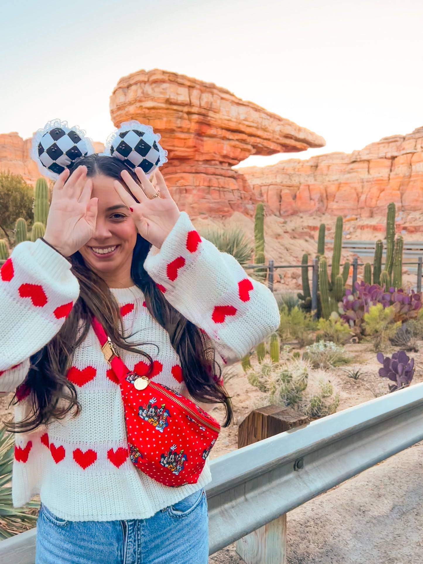 Lace and Checkered Mouse Ears